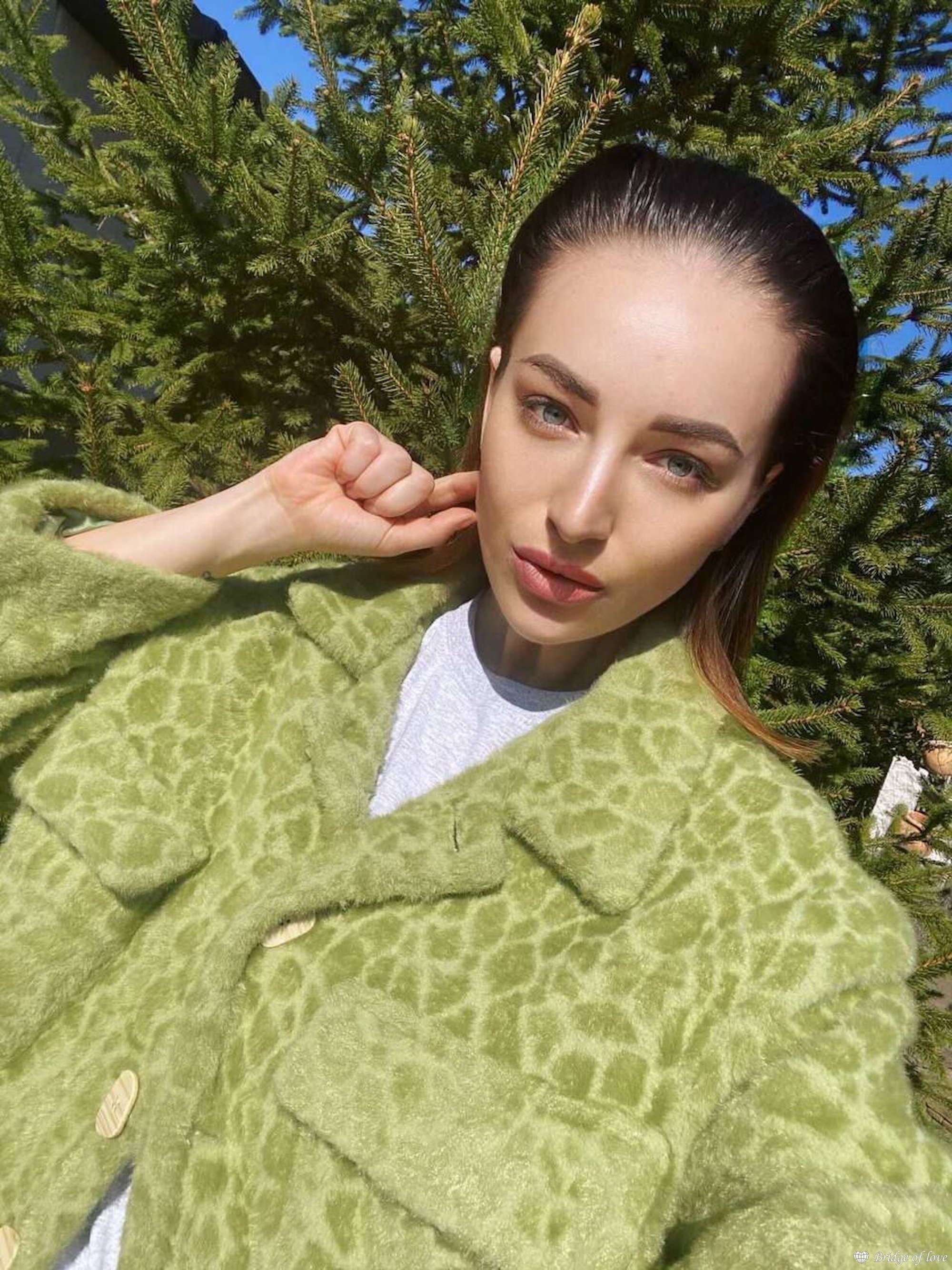 Lilia